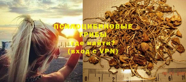 бошки Верея