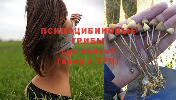 скорость mdpv Гвардейск