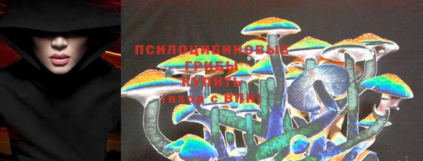 бошки Верея