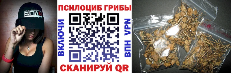 Галлюциногенные грибы Psilocybine cubensis  что такое   Вытегра 